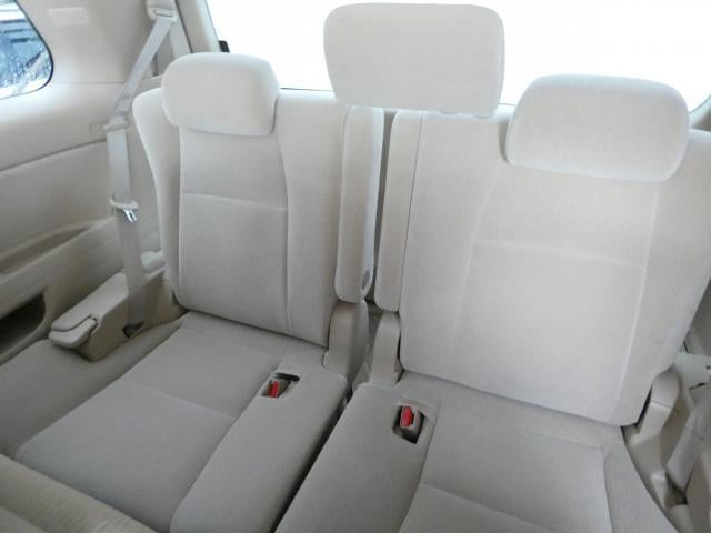 19739767_carP_l_17.jpg