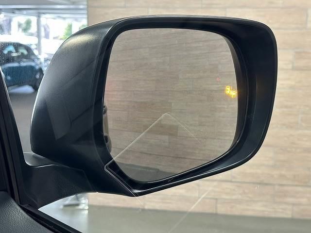 22163031_carP_l_13.jpg