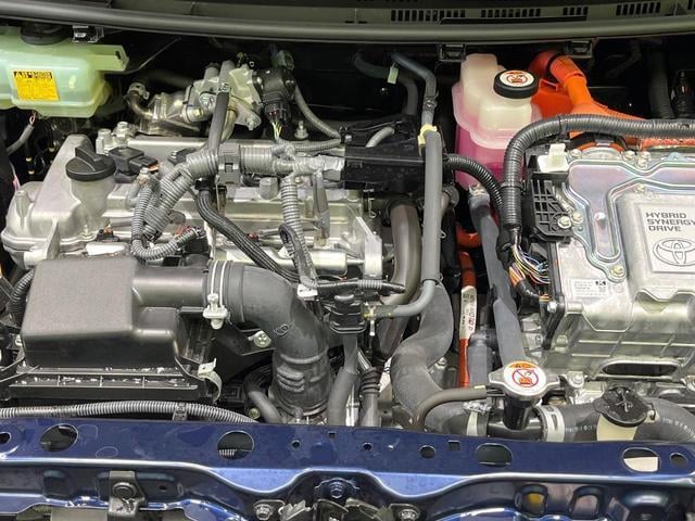 19976367_carP_l_16.jpg