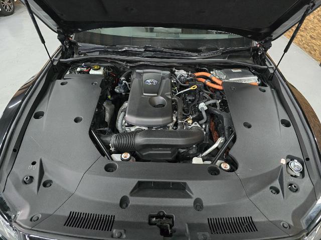 0206696A30250430W00217.jpg