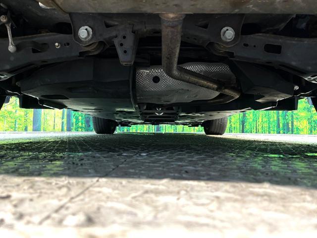22448510_carP_l_18.jpg