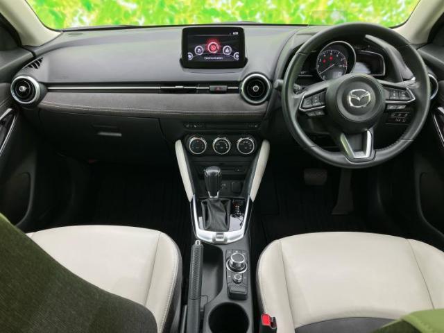 20413129_carP_l_4.jpg