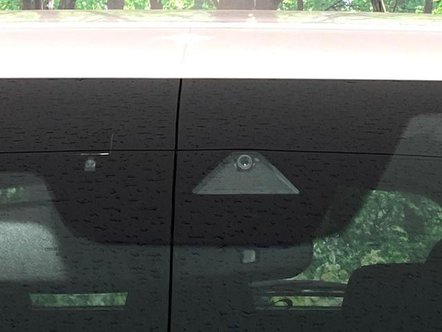 22467699_carP_l_20.jpg