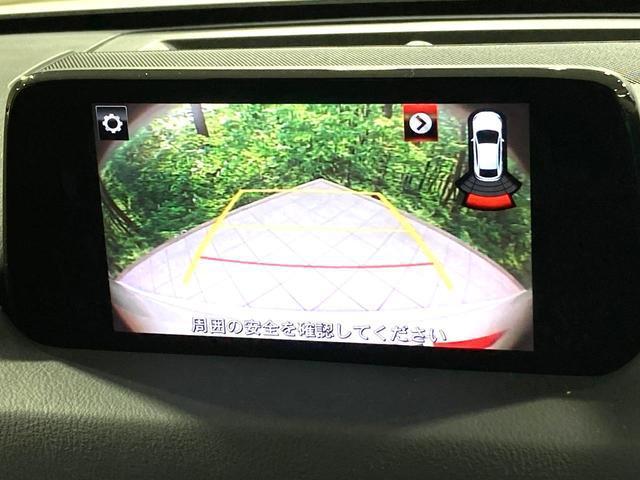 22467699_carP_l_4.jpg