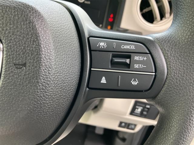 0202095A30251020W02413.jpg