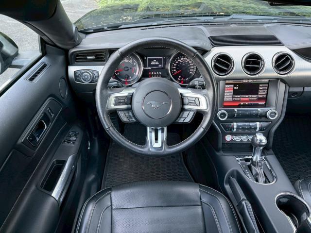 20325592_carP_l_19.jpg