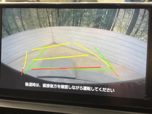 21764756_carP_l_10.jpg