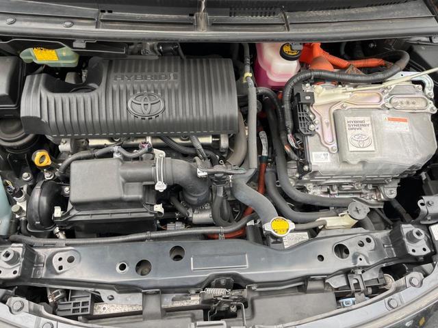 23149891_carP_l_18.jpg