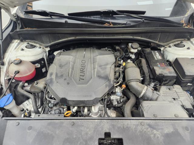 lotterental_13312519_50a7o_5.jpg