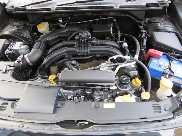 1150016A30250404W00816.jpg