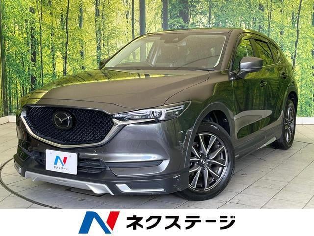 19567899_carP_l_1.jpg