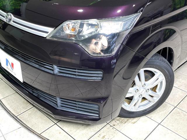 22168171_carP_l_6.jpg