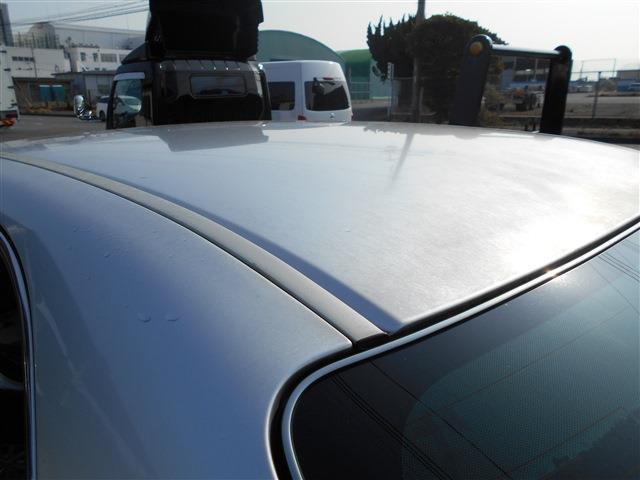 22824057_carP_l_11.jpg