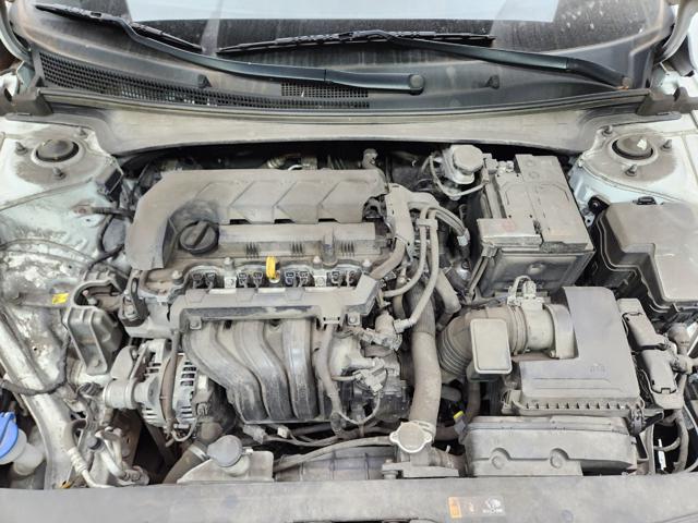 lotterental_165018528_XJfCW_3.jpg