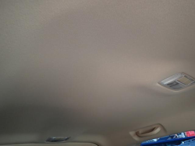 d65b4770529d2d75205bf788422a77e5.jpeg