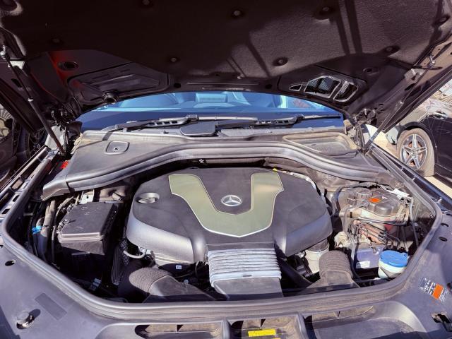 23131086_carP_l_20.jpg