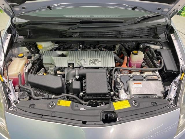19583716_carP_l_18.jpg
