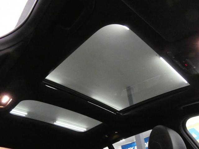 23073774_carP_l_16.jpg