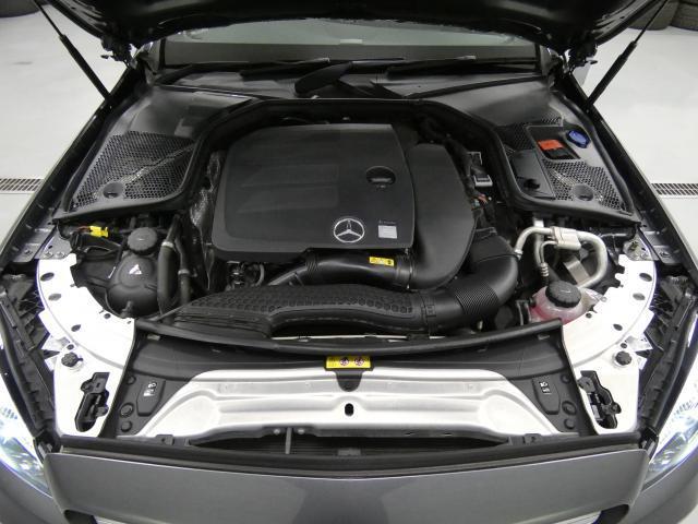 23073774_carP_l_20.jpg