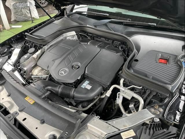 16934957_carP_l_6.jpg