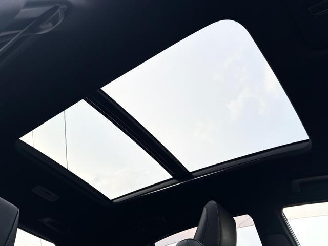 0302083A30260212W00211.jpg
