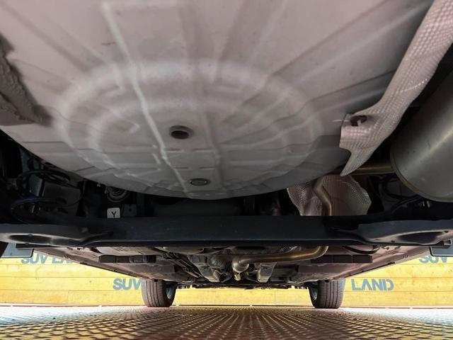 22525499_carP_l_18.jpg