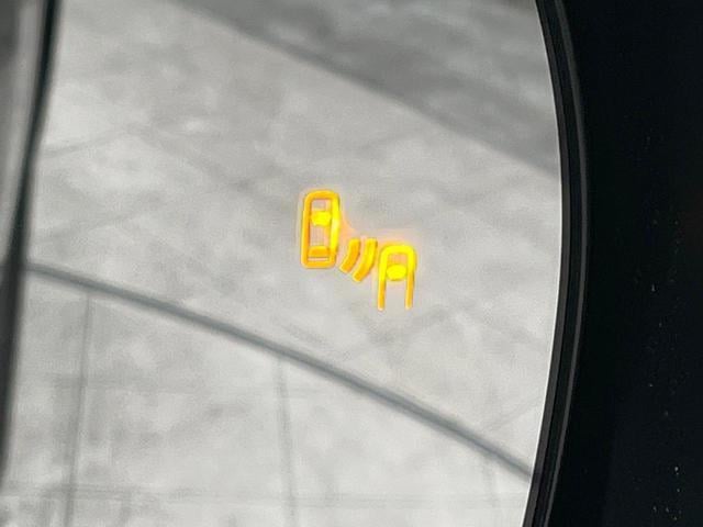 17483520_carP_l_13.jpg