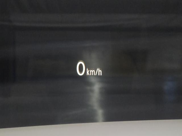 275abb82d206d26a33c6166b655d083d.jpeg