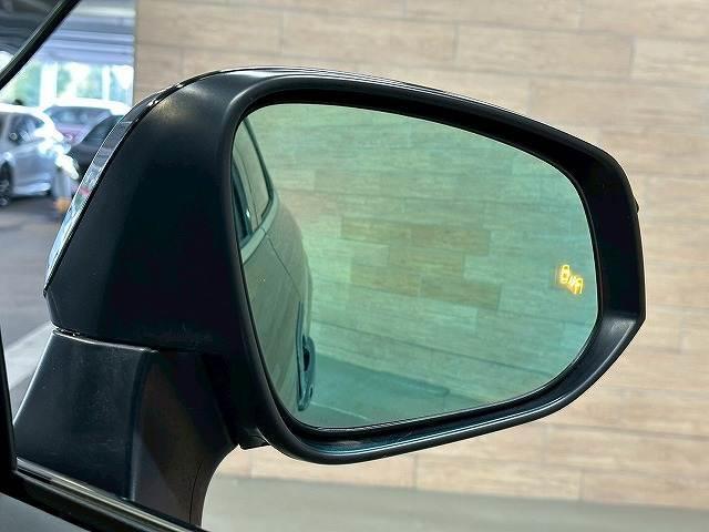 21829647_carP_l_9.jpg