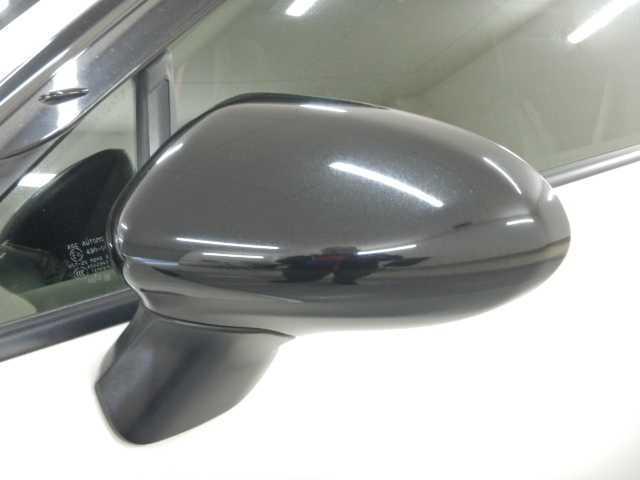 21852125_carP_l_11.jpg