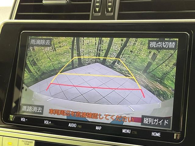 21984566_carP_l_13.jpg