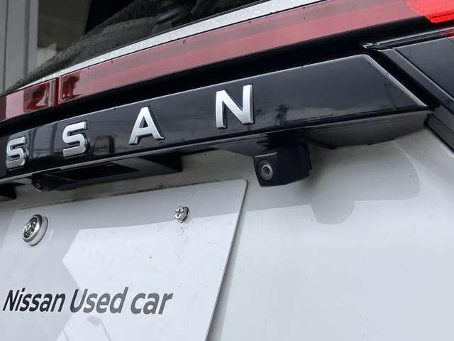 9031195A20260407E00317.jpg
