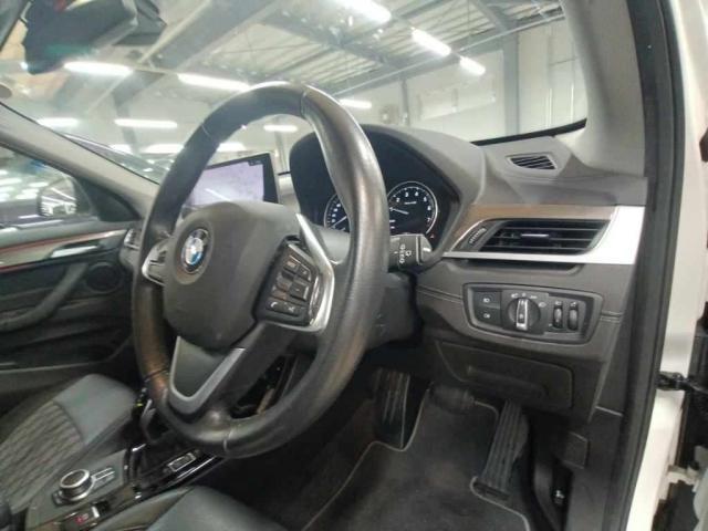 23220217_carP_l_4.jpg