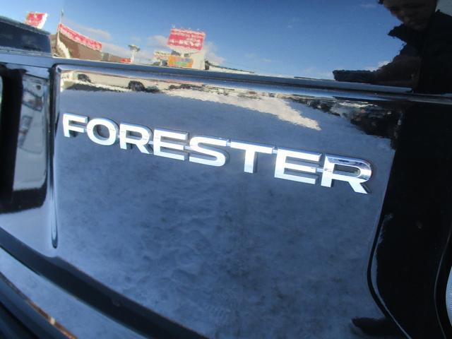 0902445A30260201W00115.jpg