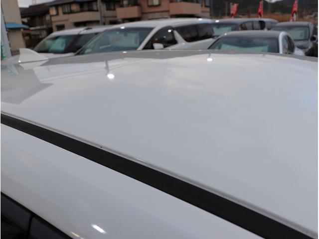 22819709_carP_l_5.jpg