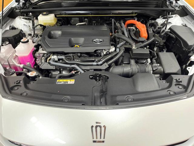 23053606_carP_l_16.jpg
