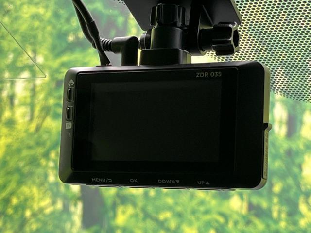 22562902_carP_l_13.jpg