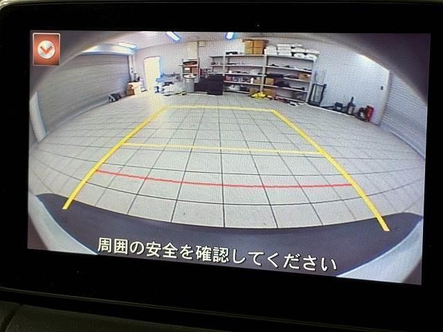 22071022_carP_l_10.jpg