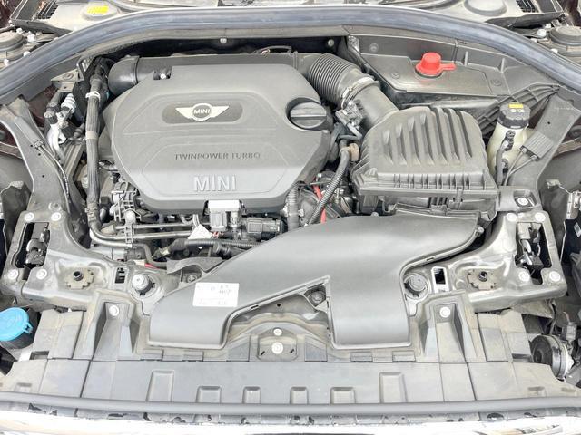 22915221_carP_l_18.jpg