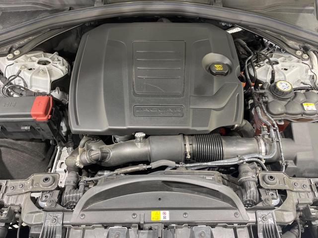 22876233_carP_l_11.jpg