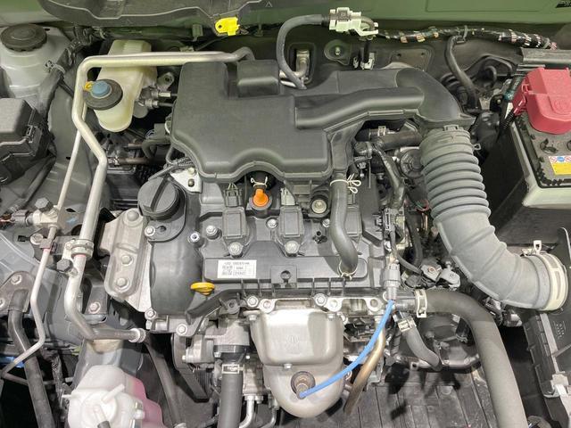 21799182_carP_l_16.jpg