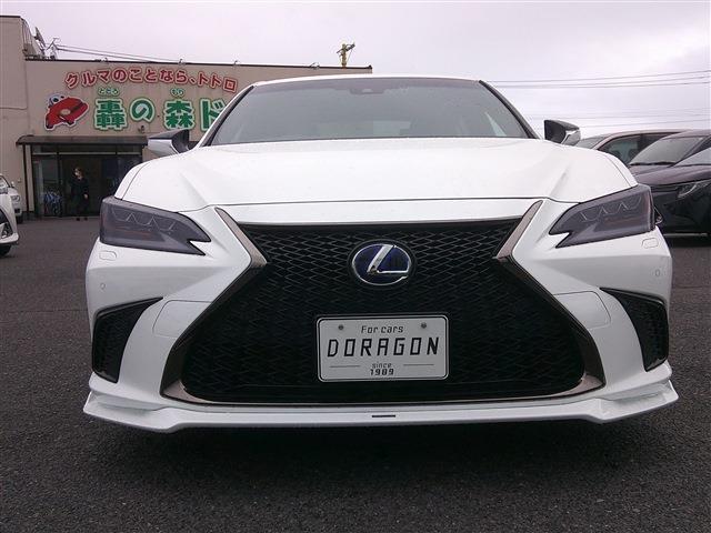23088273_carP_l_15.jpg