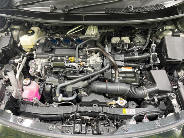 22720500_carP_l_16.jpg