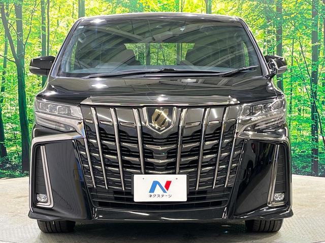 23130625_carP_l_9.jpg