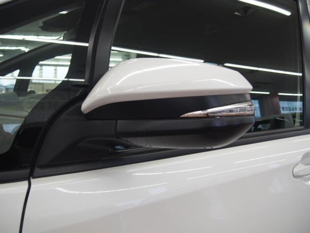 22881217_carP_l_8.jpg