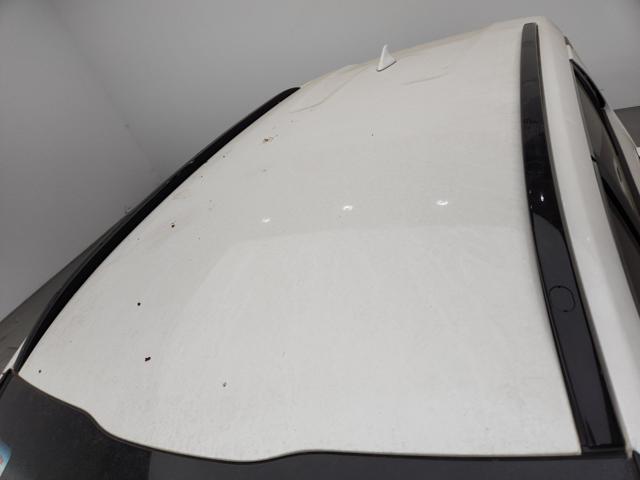 lotterental_101037709_YpWfW_2.jpg