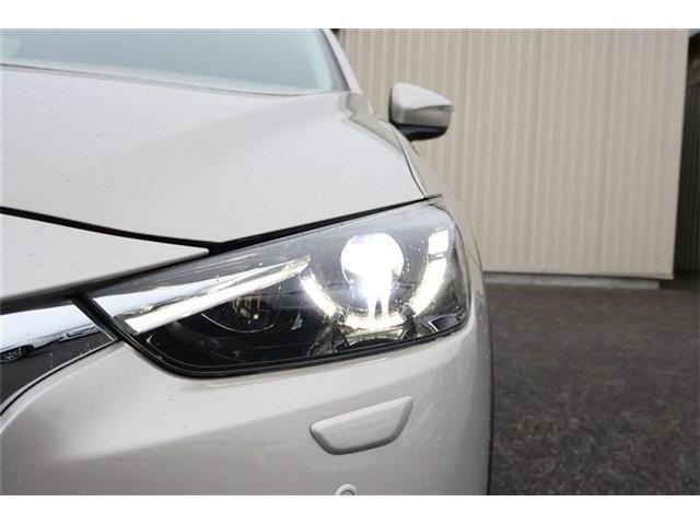40cd6b598fc3501548885b5c6d624329.jpg