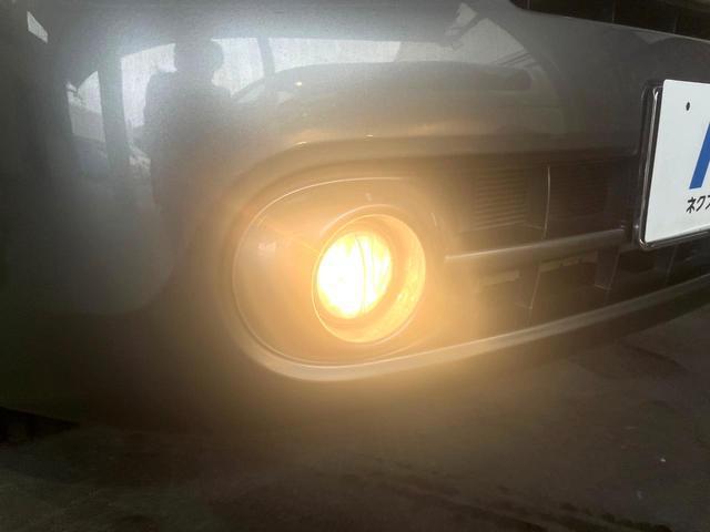 21324895_carP_l_8.jpg