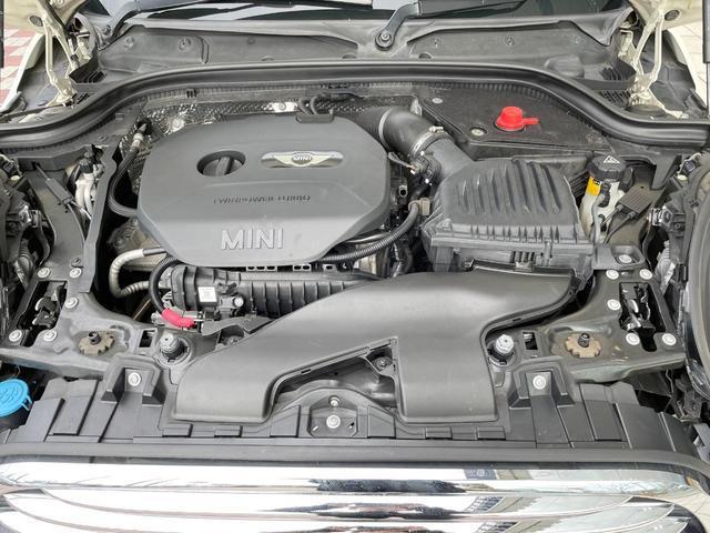 22076668_carP_l_18.jpg