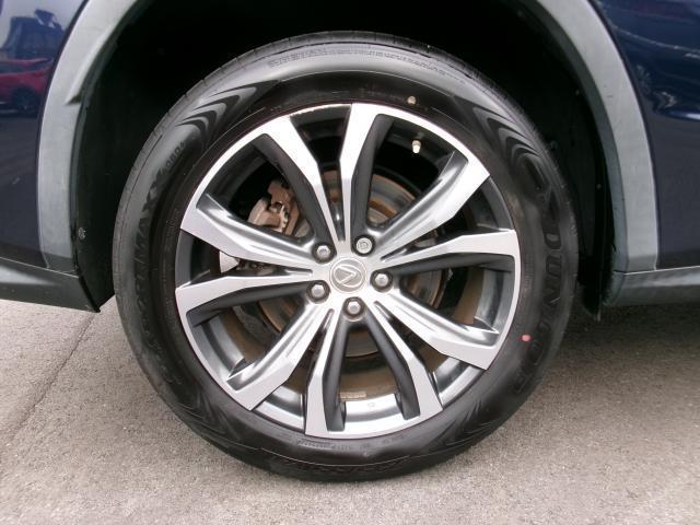 21709802_carP_l_19.jpg